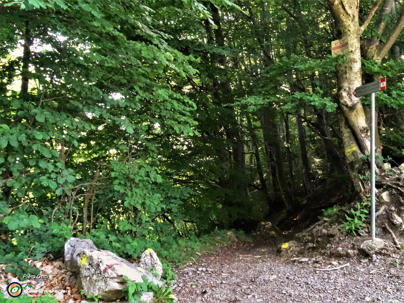 14 Al Passo di Crosnello prendo a dx il sent. 506 per il Monte Zucco.JPG